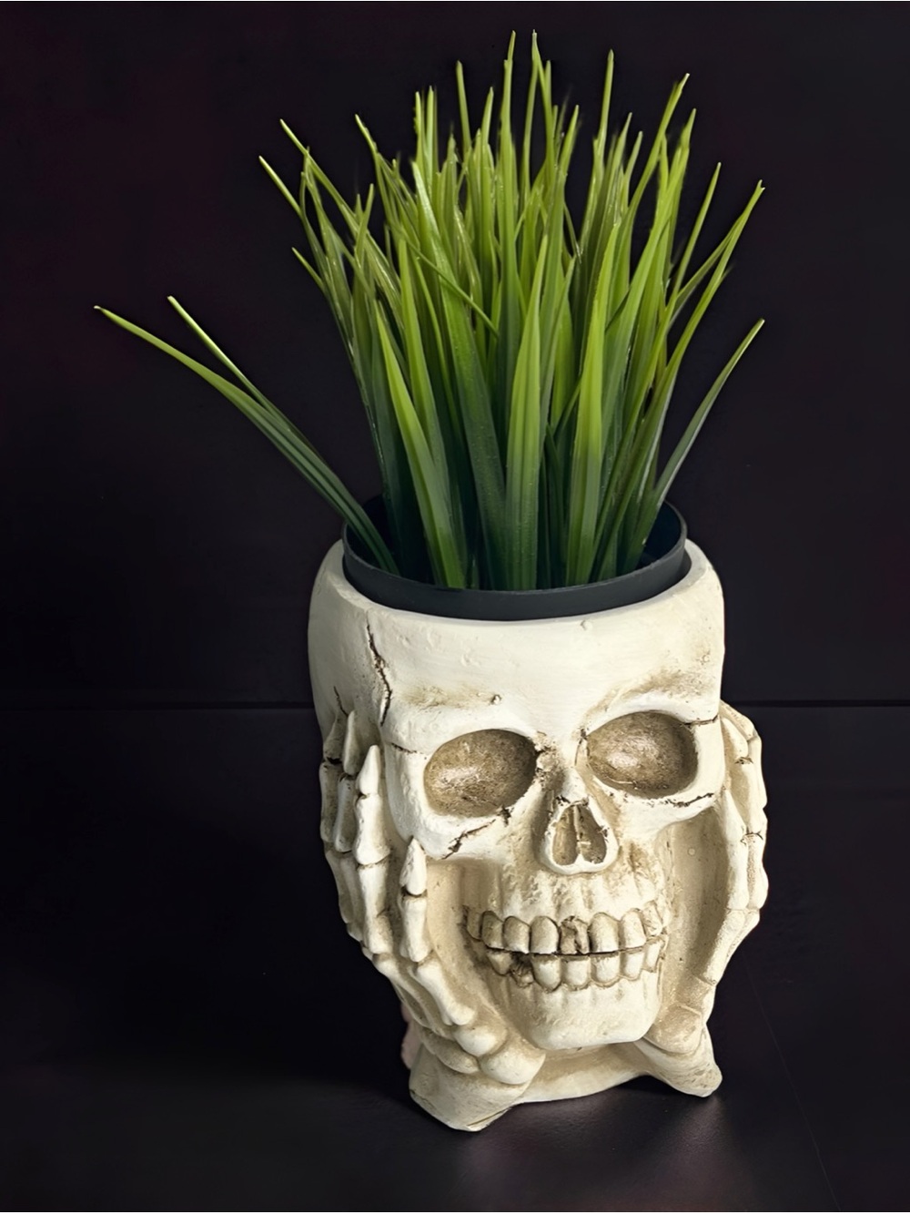 Gothic Resin Skull Flower Pot Planter